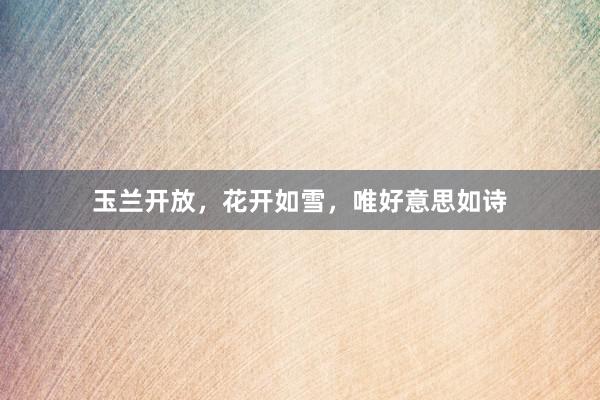 玉兰开放，花开如雪，唯好意思如诗